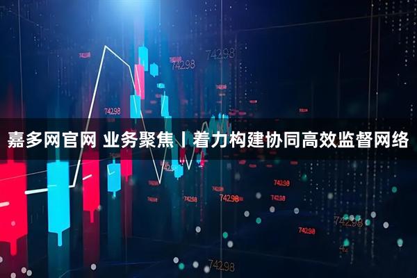 嘉多网官网 业务聚焦丨着力构建协同高效监督网络