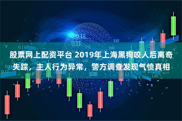 股票网上配资平台 2019年上海黑狗咬人后离奇失踪，主人行为异常，警方调查发现气愤真相