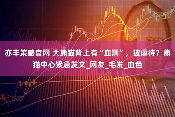 亦丰策略官网 大熊猫背上有“血洞”，被虐待？熊猫中心紧急发文_网友_毛发_血色