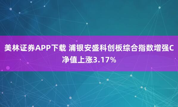 美林证券APP下载 浦银安盛科创板综合指数增强C净值上涨3.17%